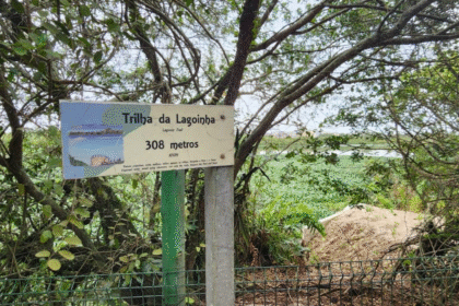 Prefeitura planeja revitalização do bosque da barra e parque chico mendes