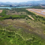 MP entra na Justiça para impedir derrubada de vegetação em área do Aeroporto de Jacarepaguá