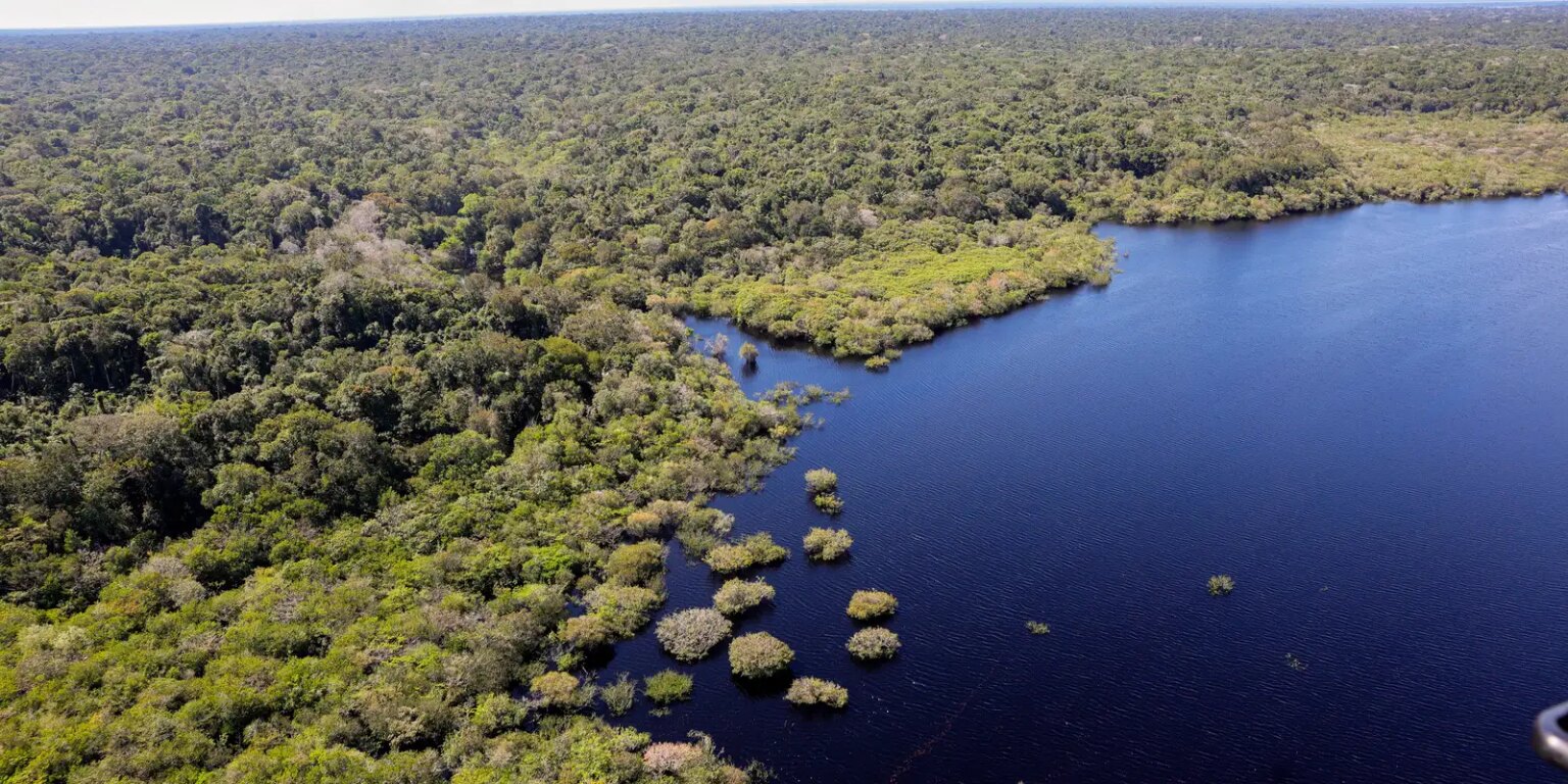 Amazônia e cerrado mostram recuo de 11% no desmatamento