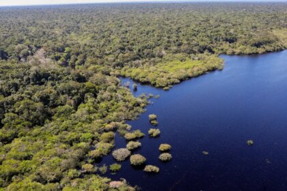Amazônia e cerrado mostram recuo de 11% no desmatamento