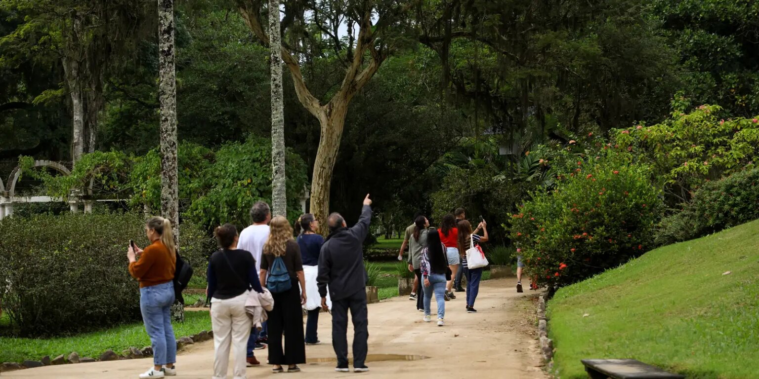 Dia da consciência negra celebrado com programação especial no rio