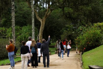 Dia da consciência negra celebrado com programação especial no rio