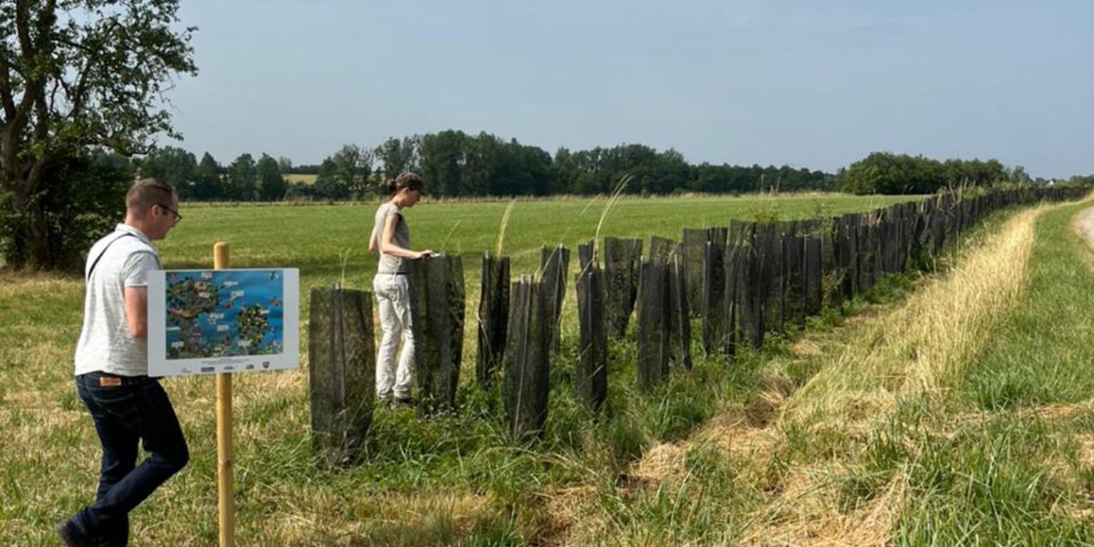 Floresta em pé: união entre lavoura e árvores para conter crise climática