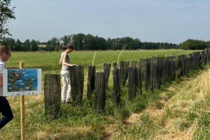 Floresta em pé: união entre lavoura e árvores para conter crise climática