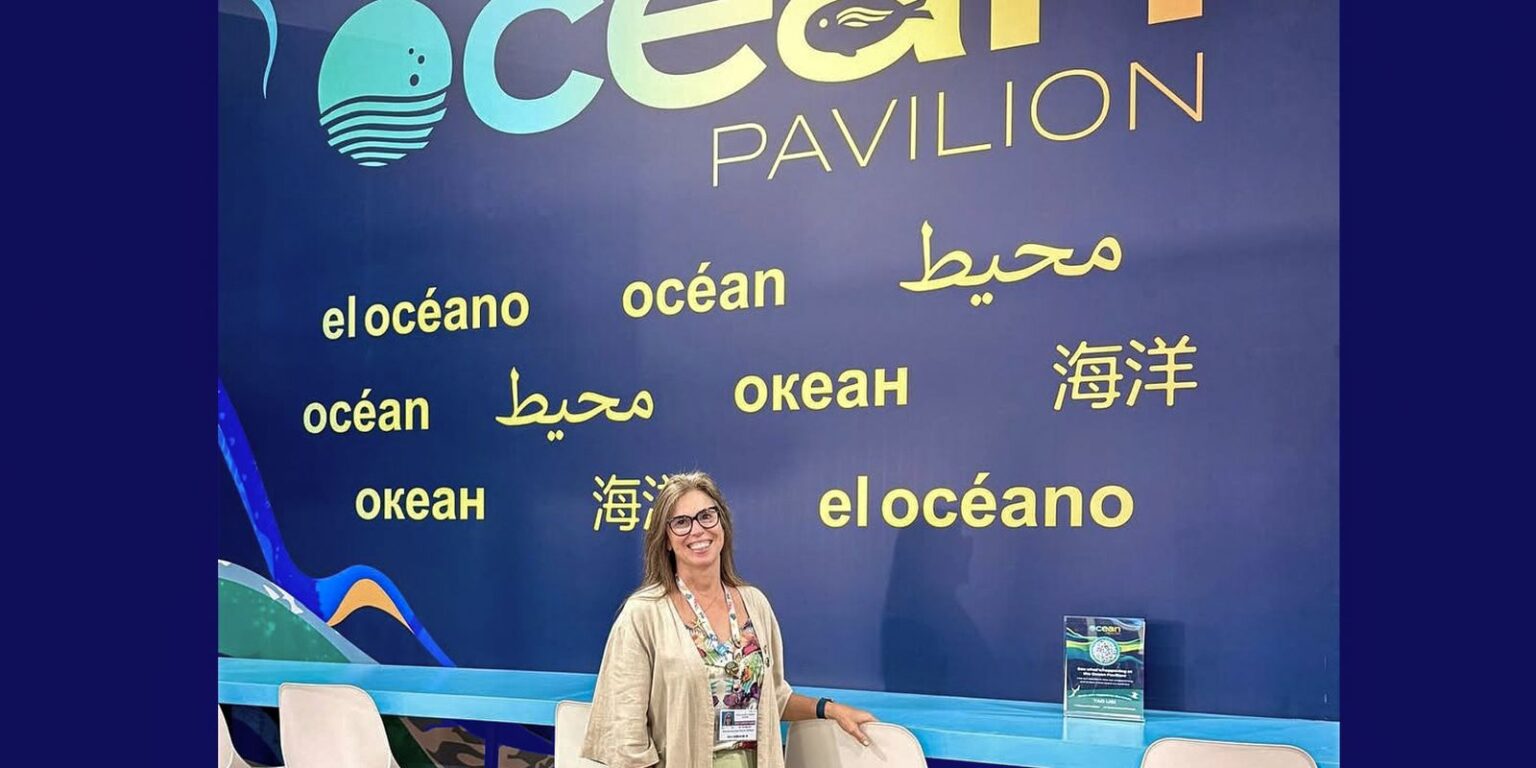 Cop30: pacote azul visa reduzir emissões globais em até 35% até 2050