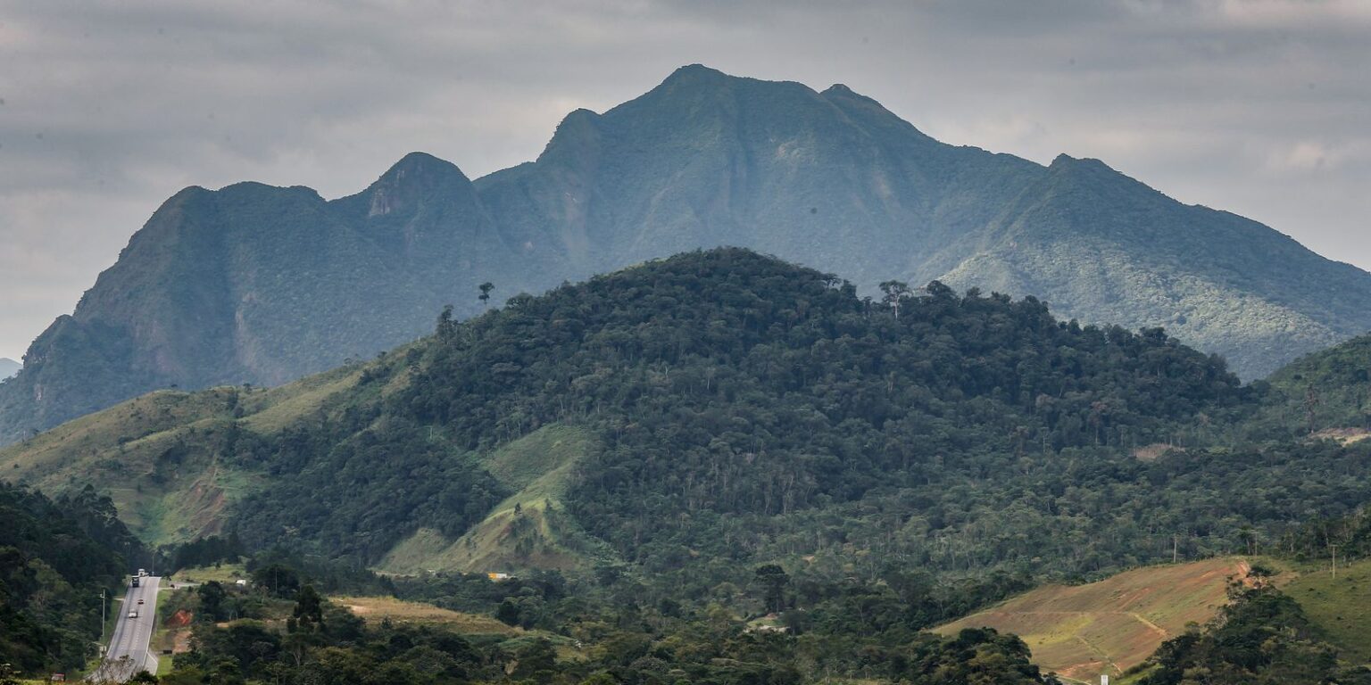 Mata atlântica: aliança inédita busca investimento privado na conservação