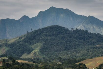 Mata atlântica: aliança inédita busca investimento privado na conservação