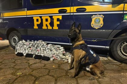 Grandes apreensões: PRF e PF combatem o tráfico e contrabando no Rio