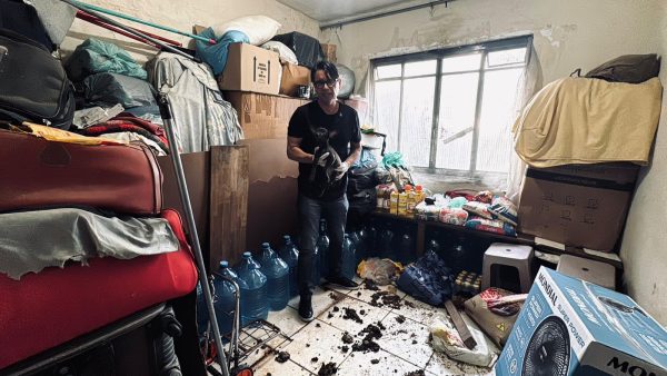 Resgate de 17 cães em Senador Camará: tutora presa por maus-tratos