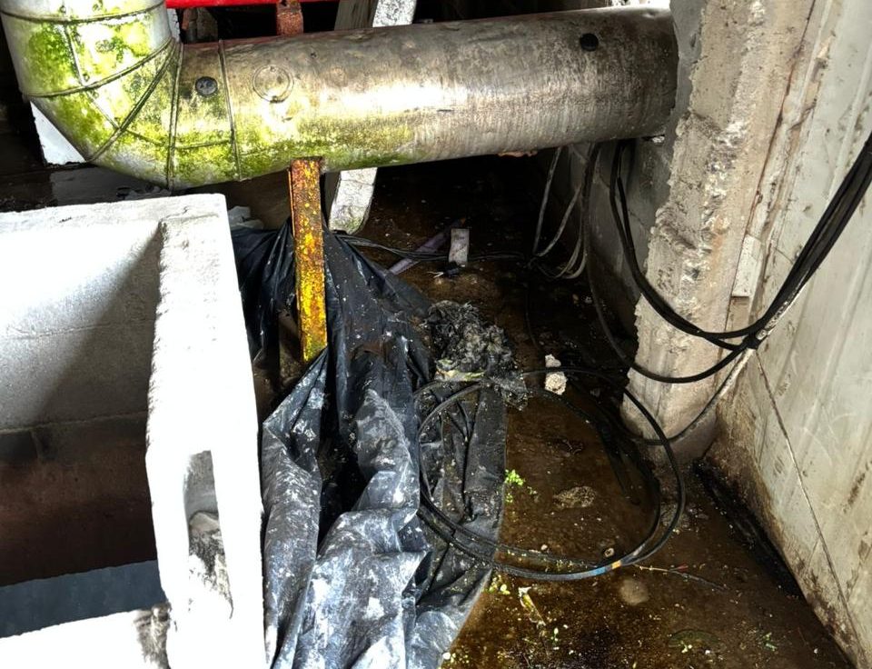 Fábrica de gelo em Campo Grande interditada por condições insalubres uma operação