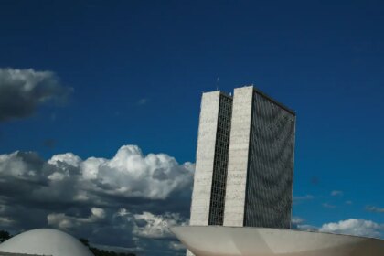 Câmara demonstra baixo engajamento em pautas de igualdade racial