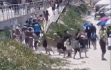 Operação na Praia do Forte: 15 pessoas detidas em Cabo Frio