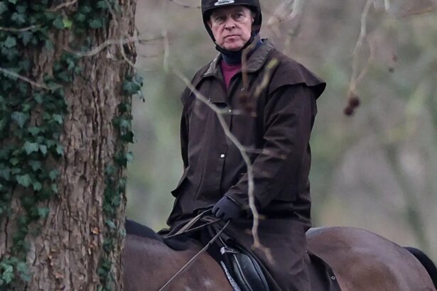 Príncipe Andrew é detido por suspeita de má conduta no Caso Epstein