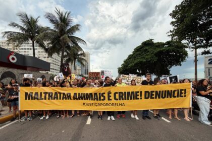 Caminhada em Copacabana exige justiça por Orelha e fortalece causa animal