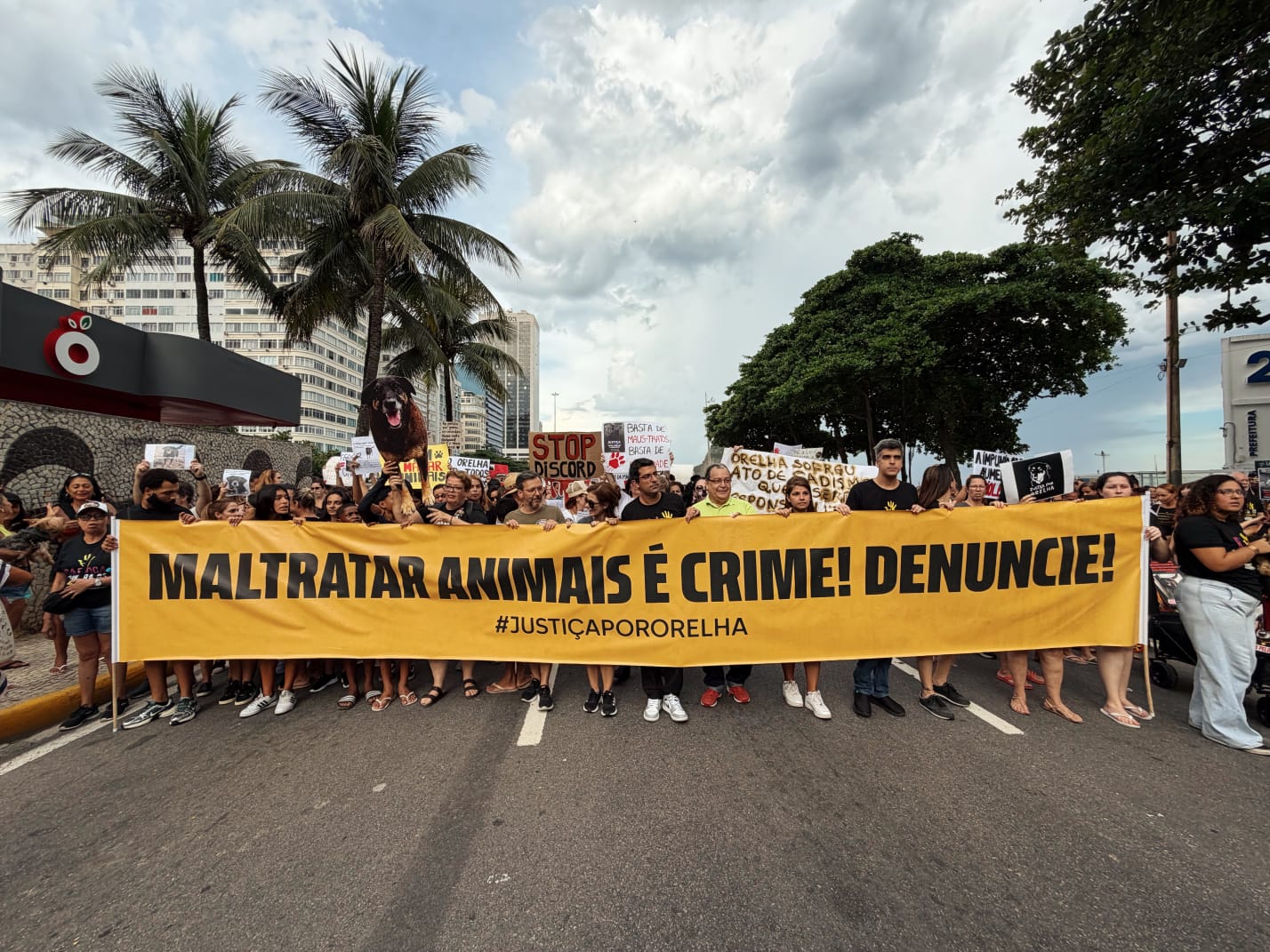 Caminhada em Copacabana exige justiça por Orelha e fortalece causa animal