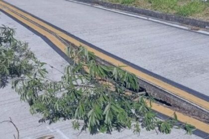 Buraco de um metro de profundidade fecha BR-495 em Petrópolis