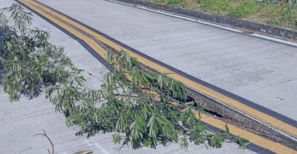 Buraco de um metro de profundidade fecha BR-495 em Petrópolis