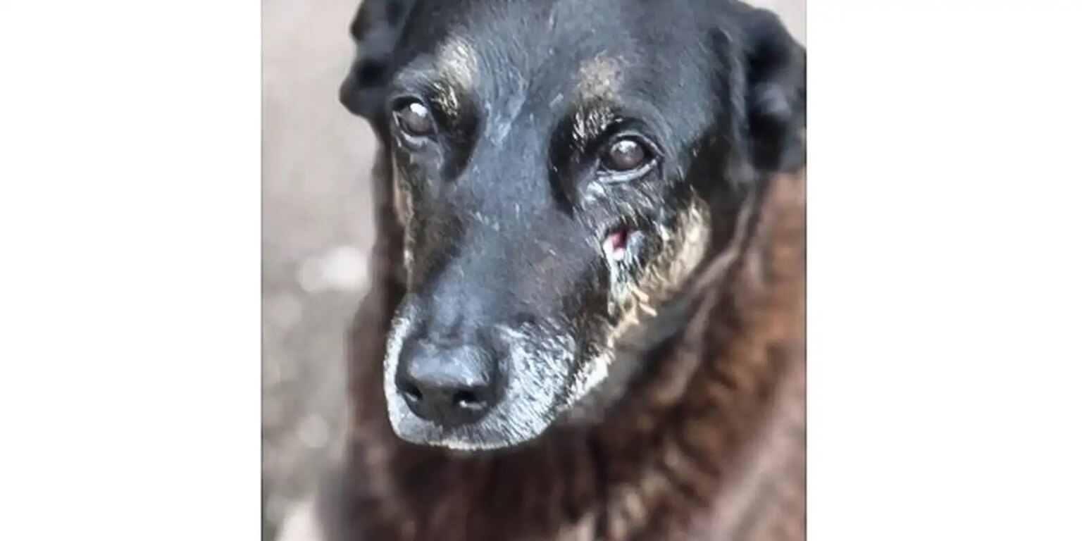 Polícia Civil pede apreensão de passaporte de adolescente envolvido na morte do