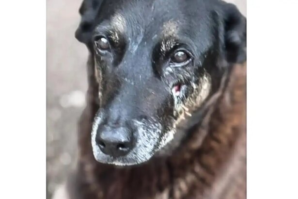 Polícia Civil pede apreensão de passaporte de adolescente envolvido na morte do