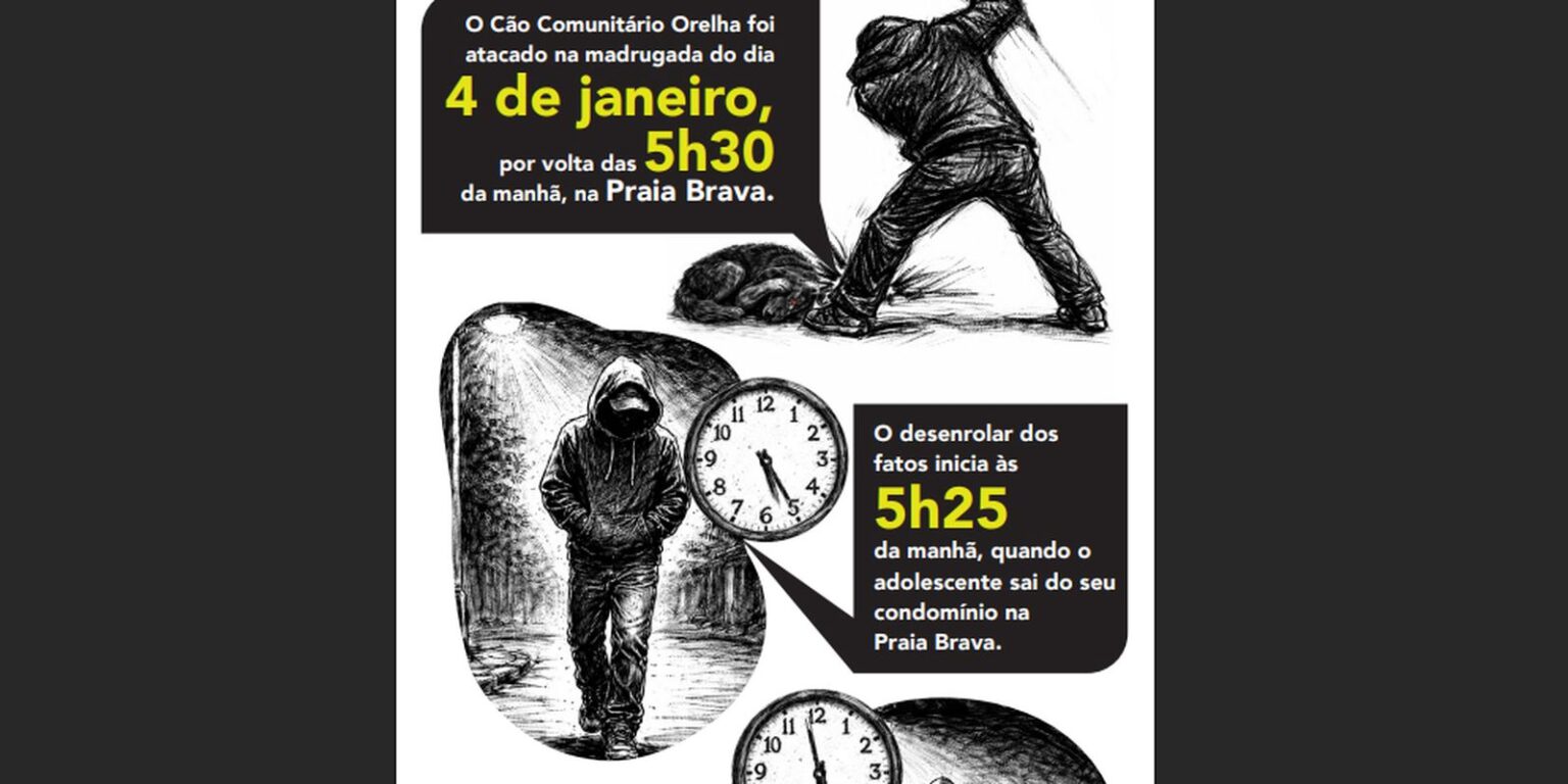 Caso Orelha: tecnologia desvenda agressão ao Cão e leva a internação de