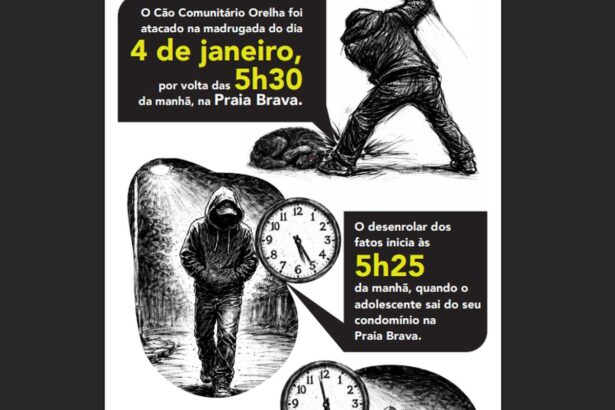 Caso Orelha: tecnologia desvenda agressão ao Cão e leva a internação de