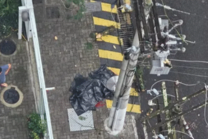 Queda de galho de árvore mata idosa e deixa bairro sem luz