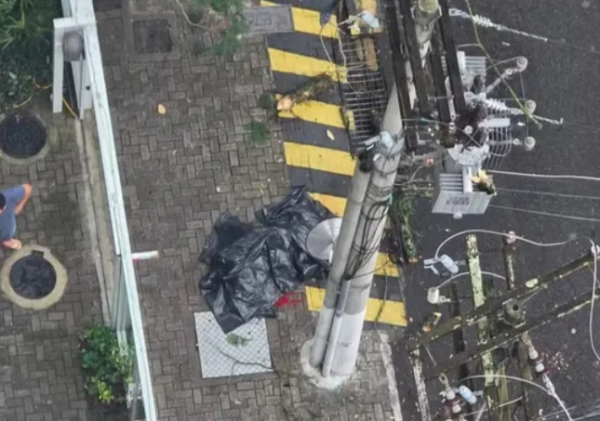 Queda de galho de árvore mata idosa e deixa bairro sem luz