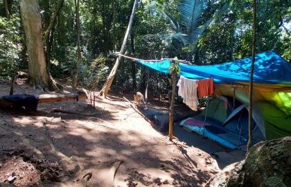 MPF exige ações para proteger o Parque Nacional da Tijuca