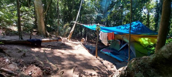 MPF exige ações para proteger o Parque Nacional da Tijuca