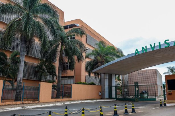 Anvisa alerta sobre riscos de danos ao fígado com suplementos de cúrcuma