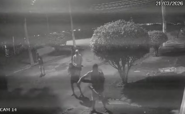 Polícia Civil prende suspeitos por espancar capivara na Ilha do Governador