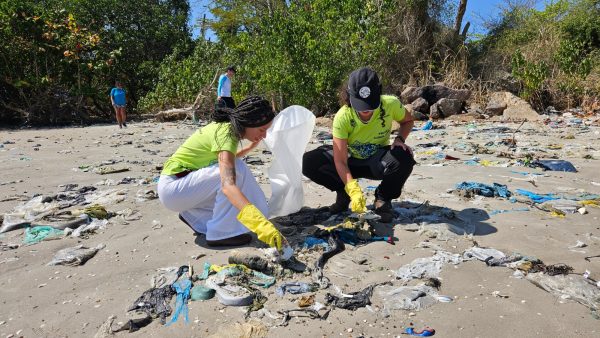 Limpeza simultânea na Baía de Guanabara celebra o Dia Mundial da Água