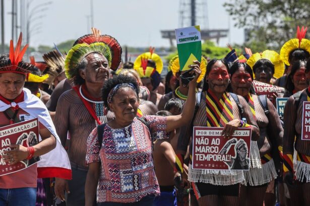Ameaças ambientais: Organizações alertam sobre propostas legislativas no Congresso