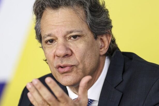 Haddad projeta crescimento econômico de até 1% no primeiro trimestre