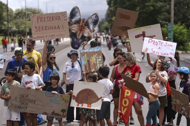 Ambientalistas protestam contra inclusão da serrinha em socorro ao BRB